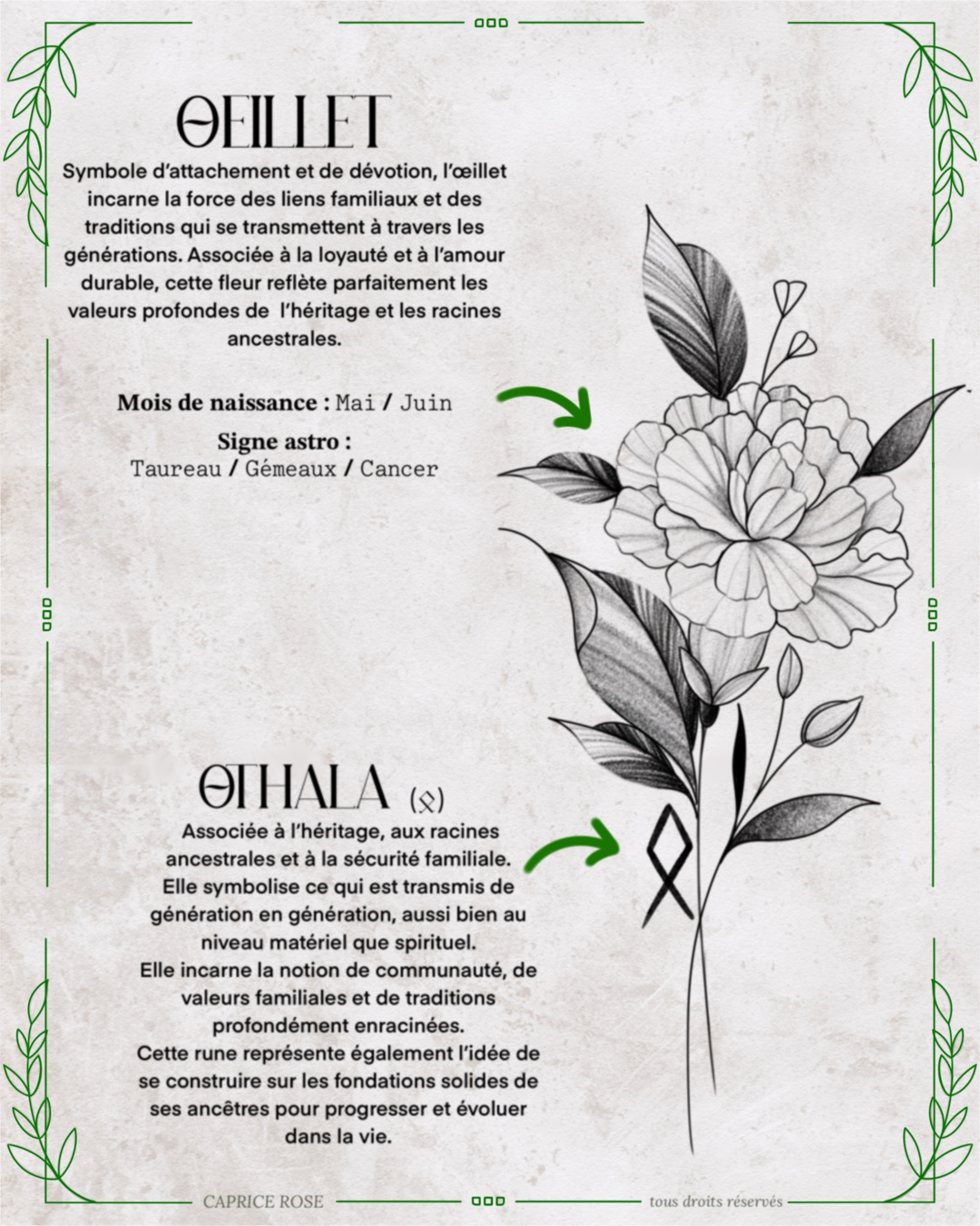 Oeillet (runes florales)