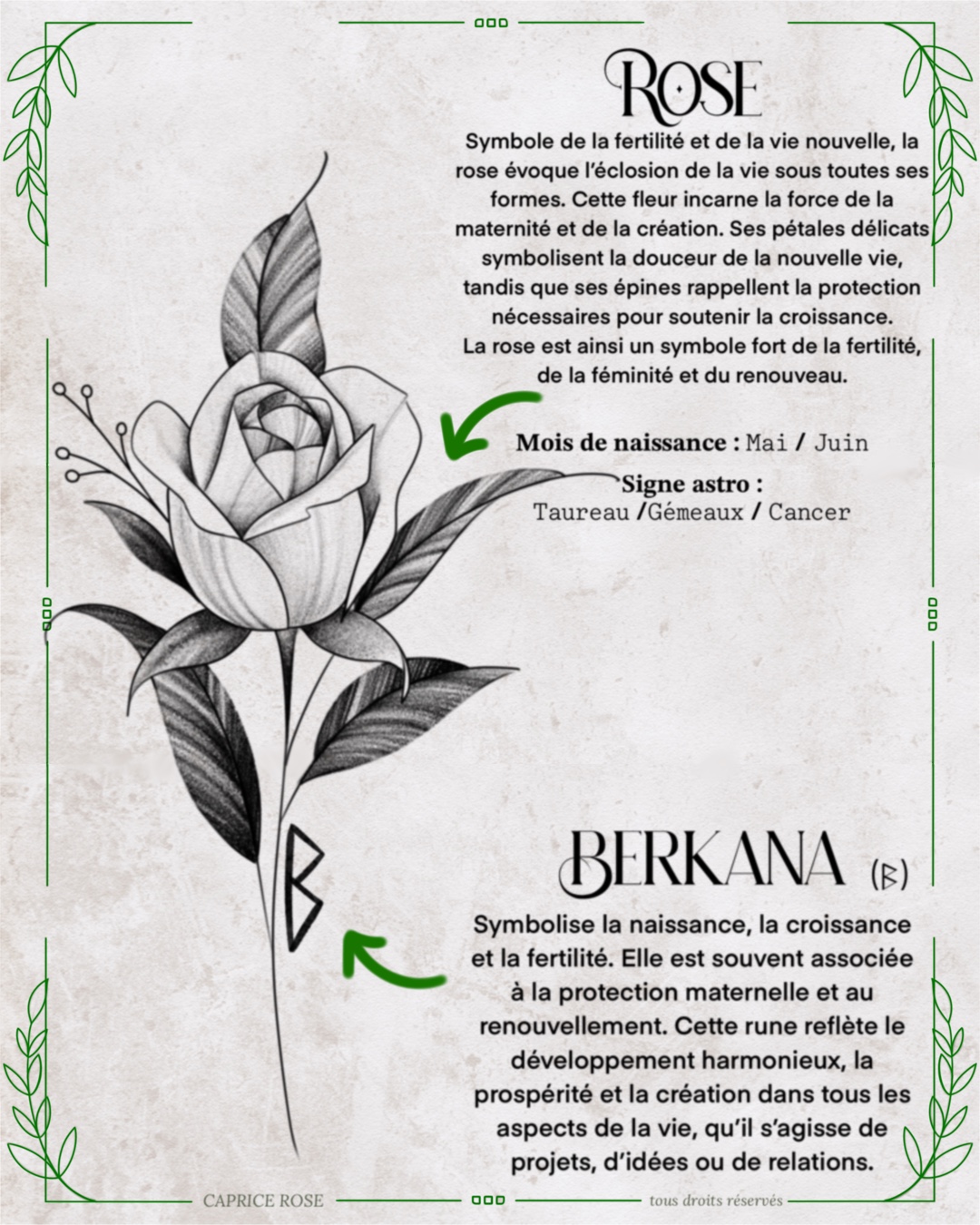Rose (runes florales)