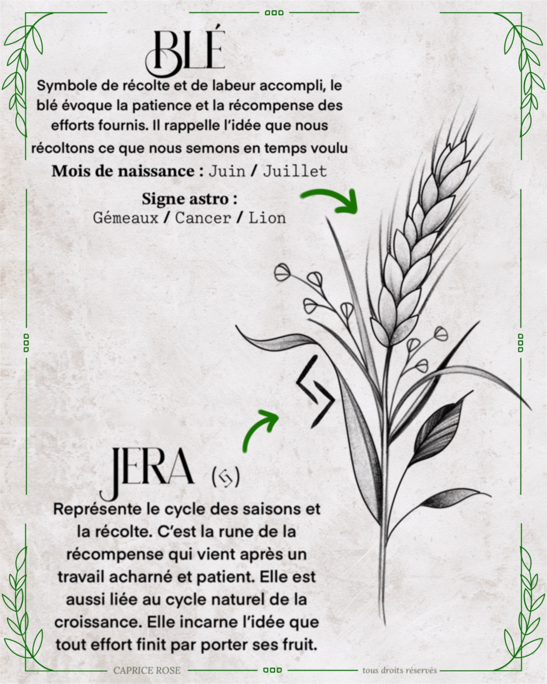 Blé (runes florales)
