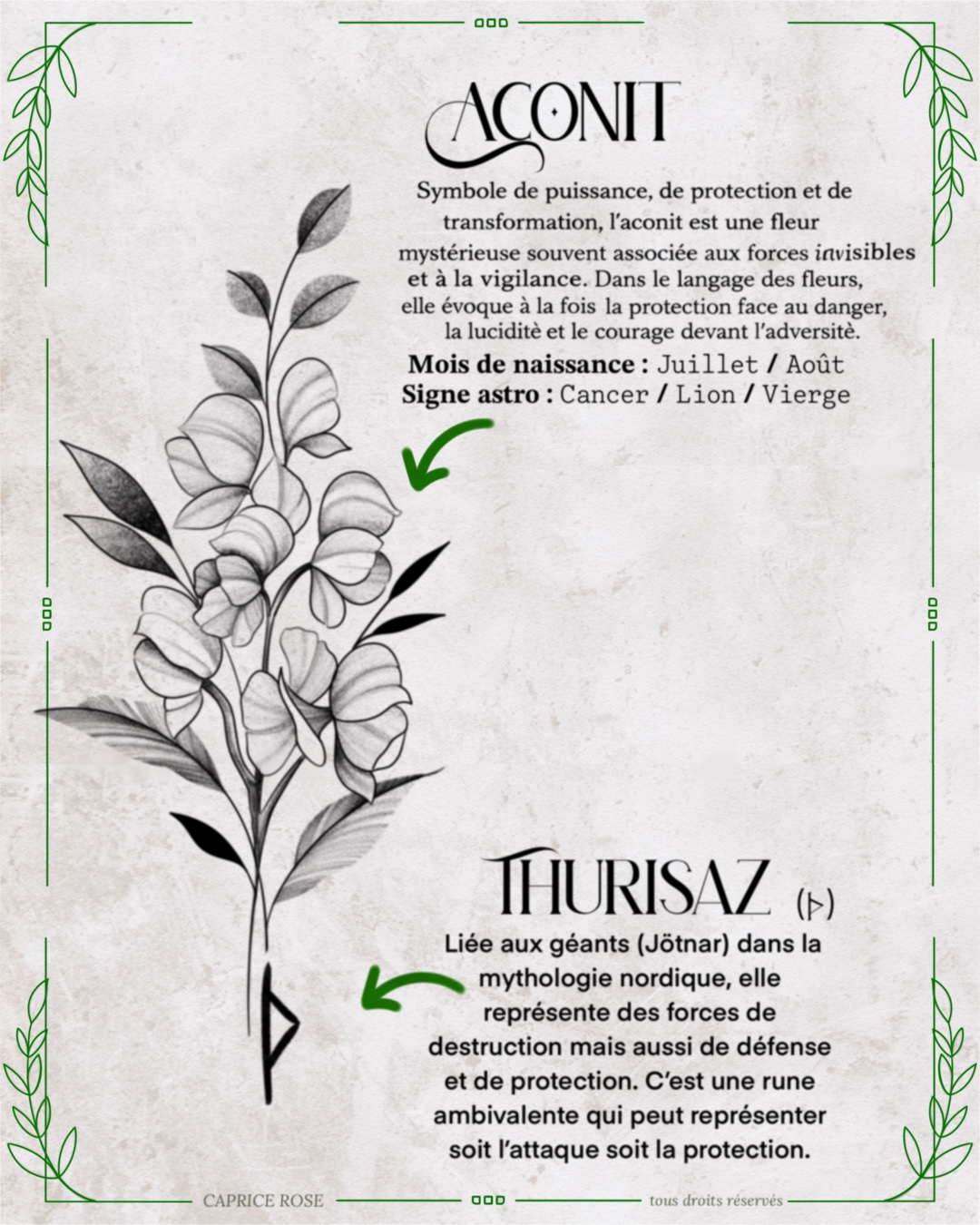 Aconit (runes florales)