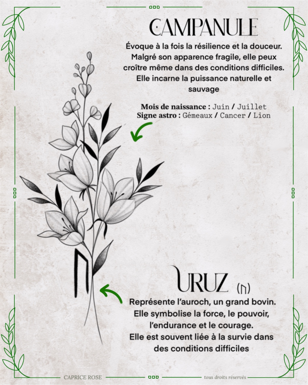 Campanule (runes florales)