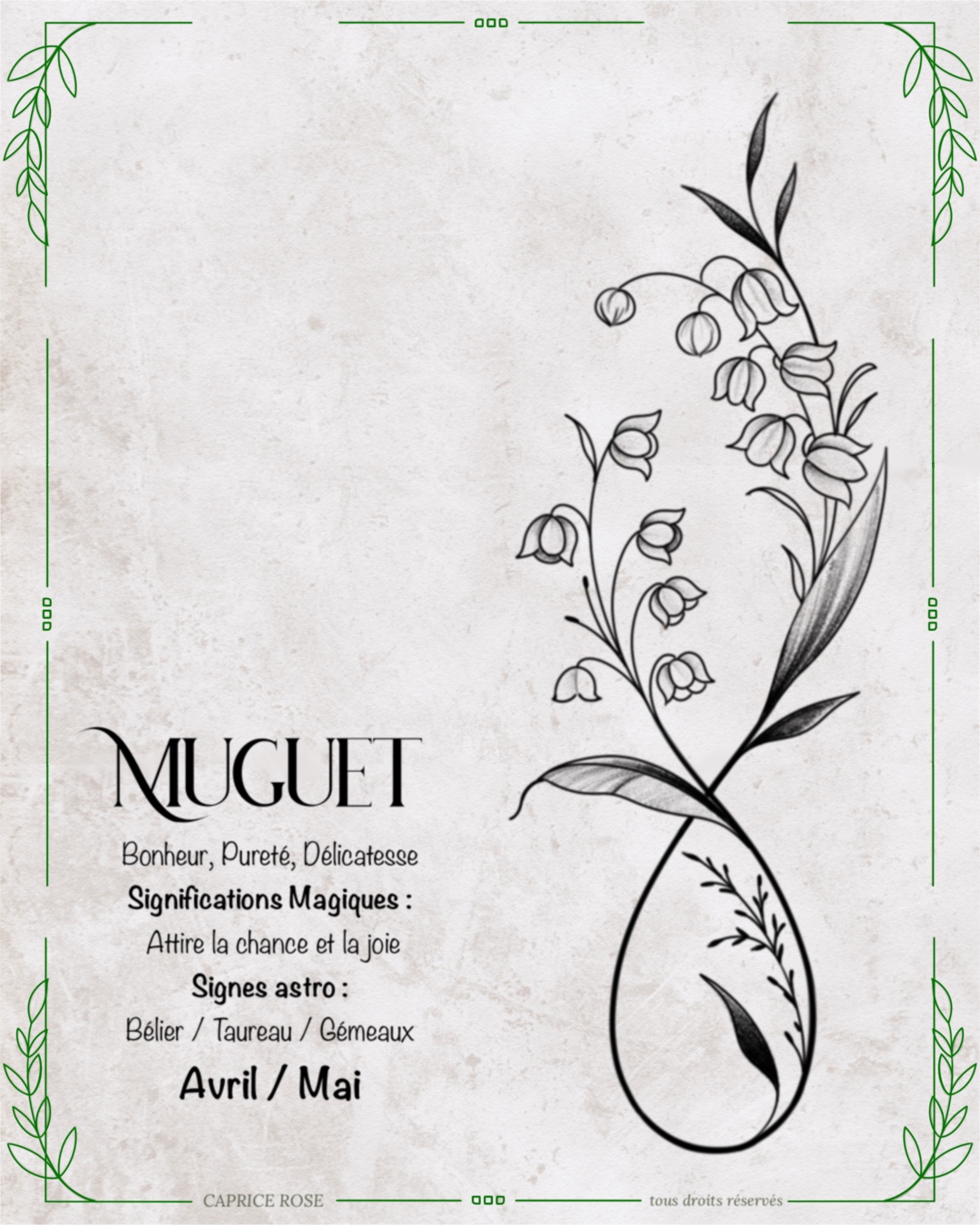 Muguet (infinity floral)