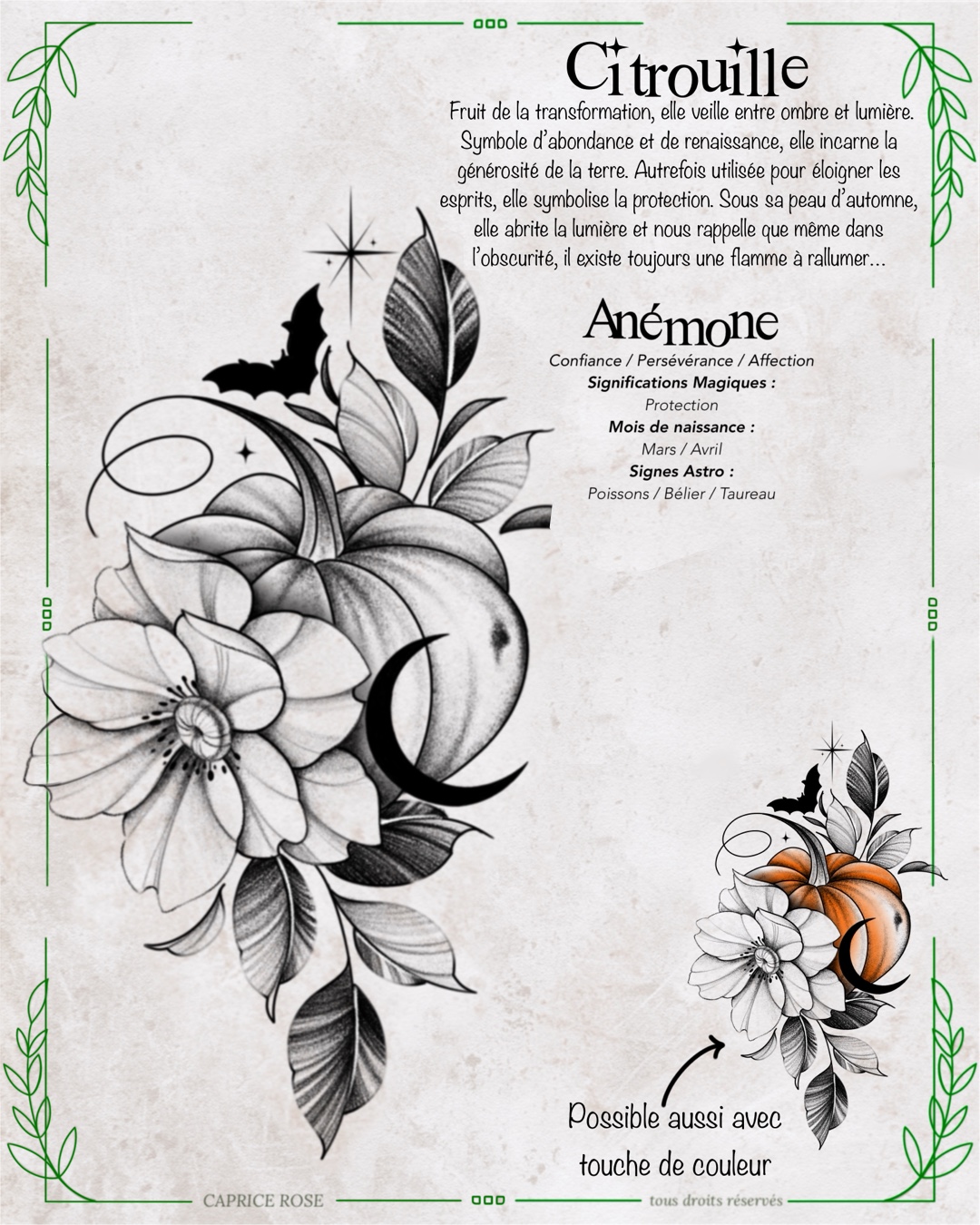 Anémone (citrouille)